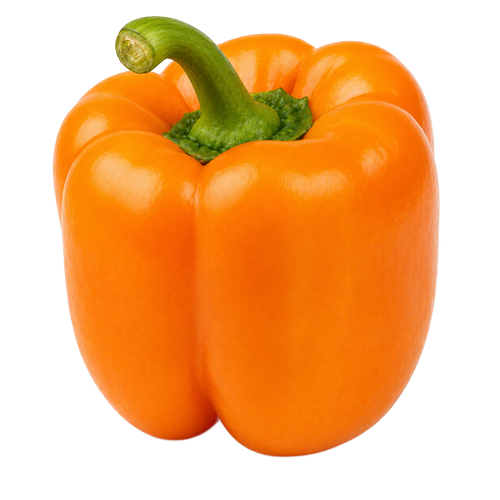 גמבה כתומה
