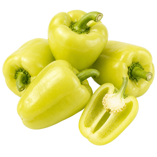 גמבה בהירה