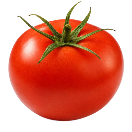 עגבניות לבישול