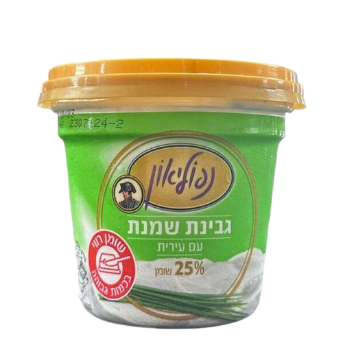 גבינת שמנת עם עירית 25%