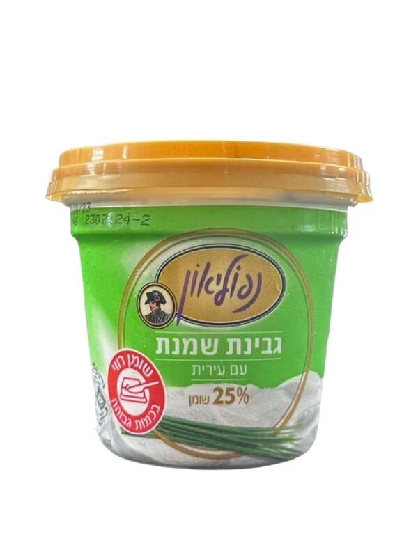 גבינת שמנת עם עירית 25%