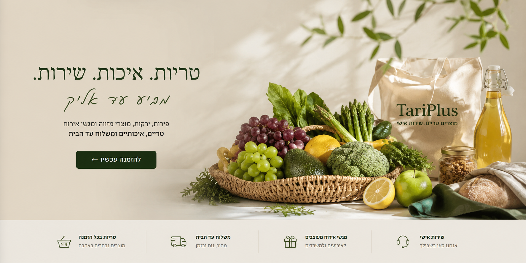טרי פלוס